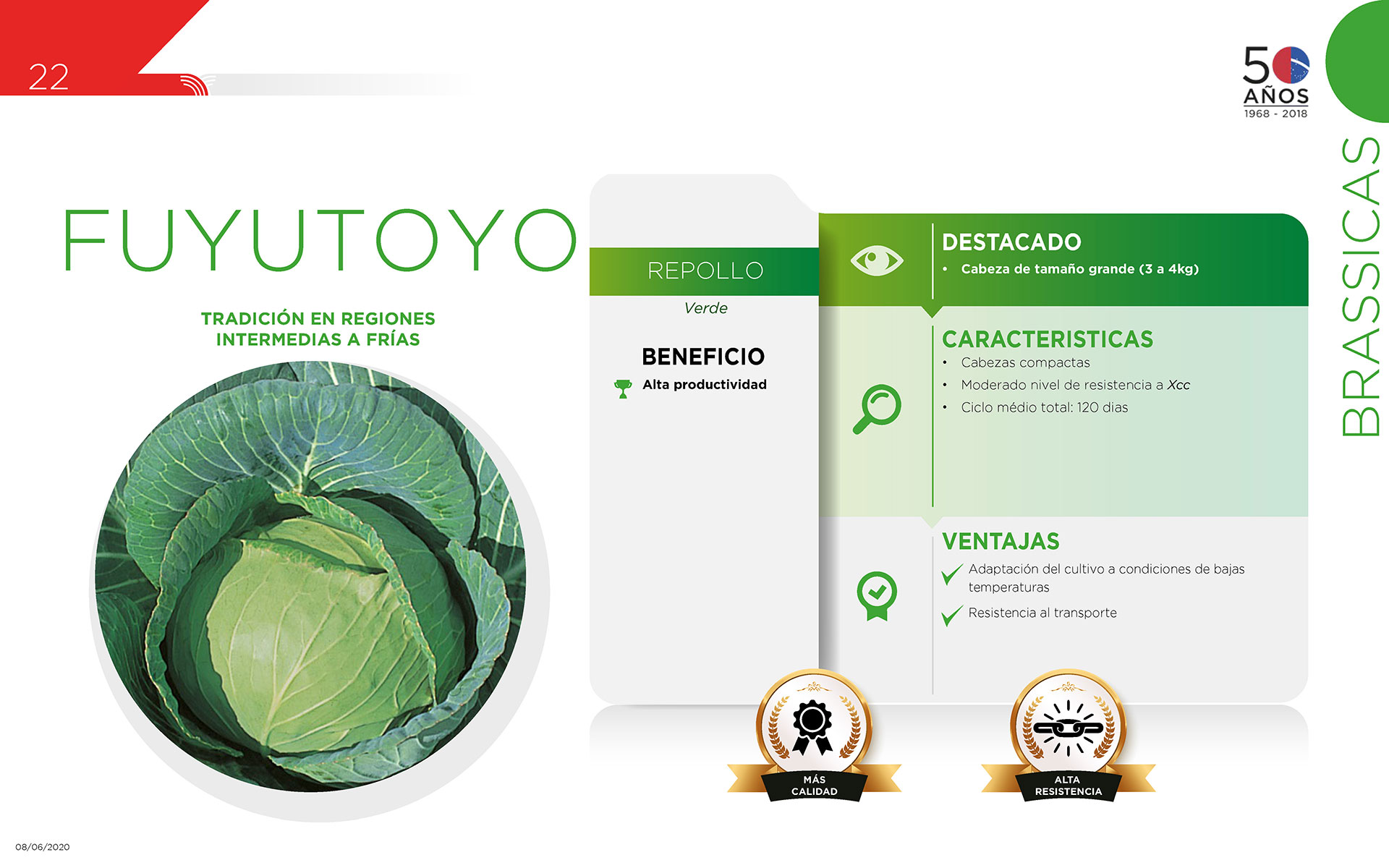 Fuyutoyo - Brassicas