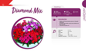 Diamond Mix - Jardim