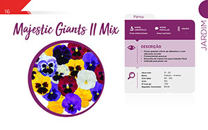 Majestic Giants II Mix - Jardim