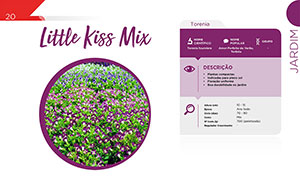 Little Kiss Mix - Jardim