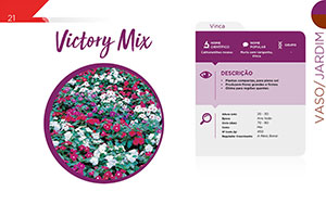 Victory Mix - Jardim