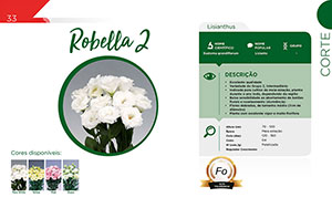 Robella 2 - Corte