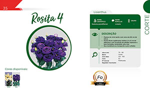 Rosita 4 - Corte