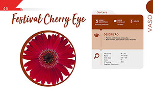 Festival Cherry Eye - Vaso
