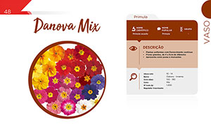 Danova Mix - Vaso