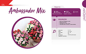 Ambassador Mix - Jardim
